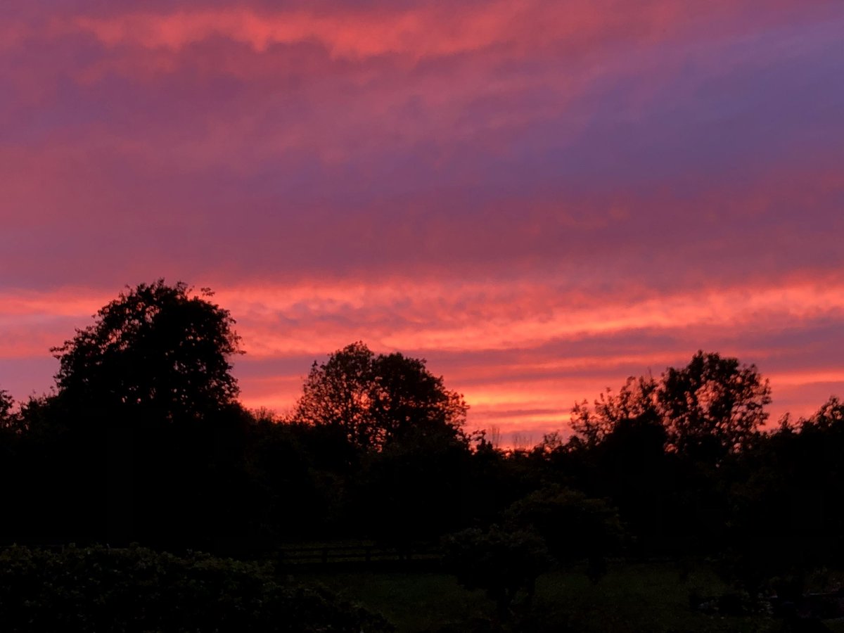 Zwartbles Ireland • Suzanna Crampton tweet media