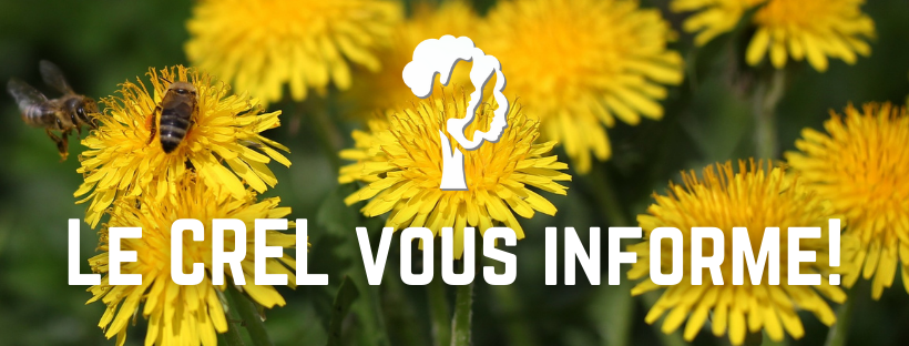 Le CREL vous informe! Lisez l'infolettre du CREL, édition MAI 2022 - mailchi.mp/6d60e38182db/b…