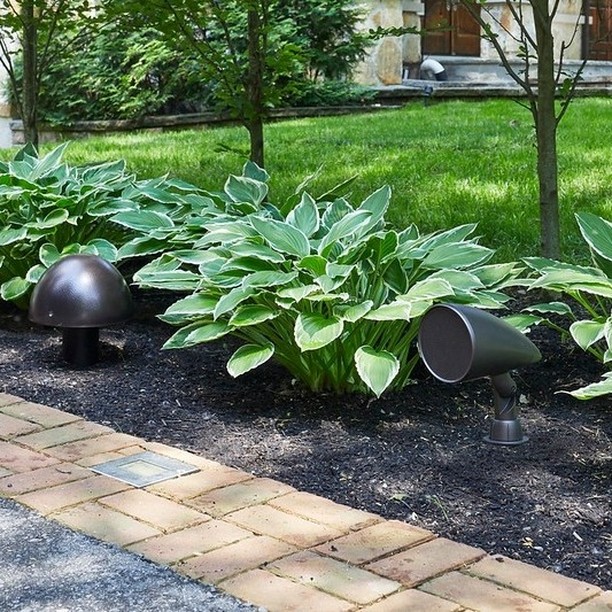 Late summer nights and perfect backyard music. 🔊

.
.
.
.
#martinlogan #martinloganspeakers #martinloganaudio #martinloganoutdoor #outdooraudio #outdoorsubwoofer