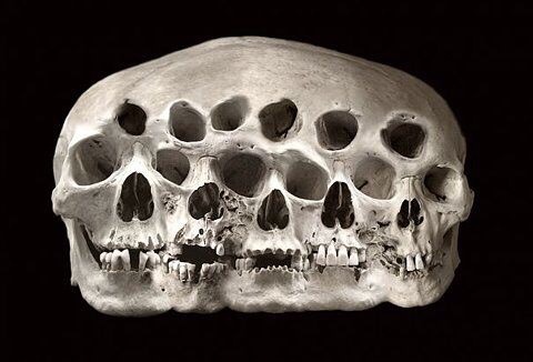 Archillect (@archillect) on Twitter photo 