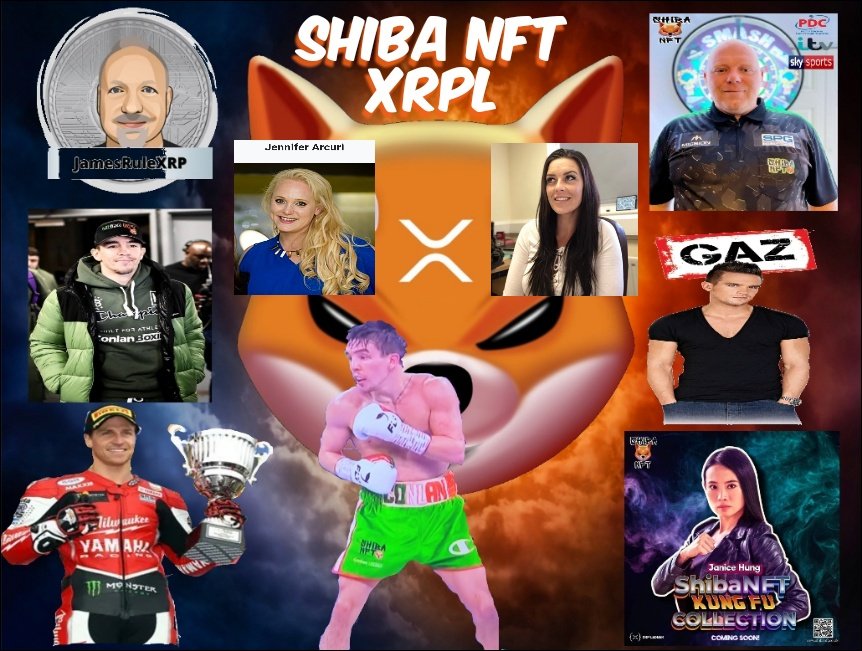 cryptel0509's tweet photo. The Vision is clear...The Plans are in place...The Execution is the easy part!! The hardest part will be watching people miss out because they were sceptical! 🤷‍♂️ I can assure you that there will not be many bigger #Crypto/ #NFT projects then #ShibaNFT💥

#XRPL #BTC #ETH #1000xgem https://t.co/pD69R0U7fa