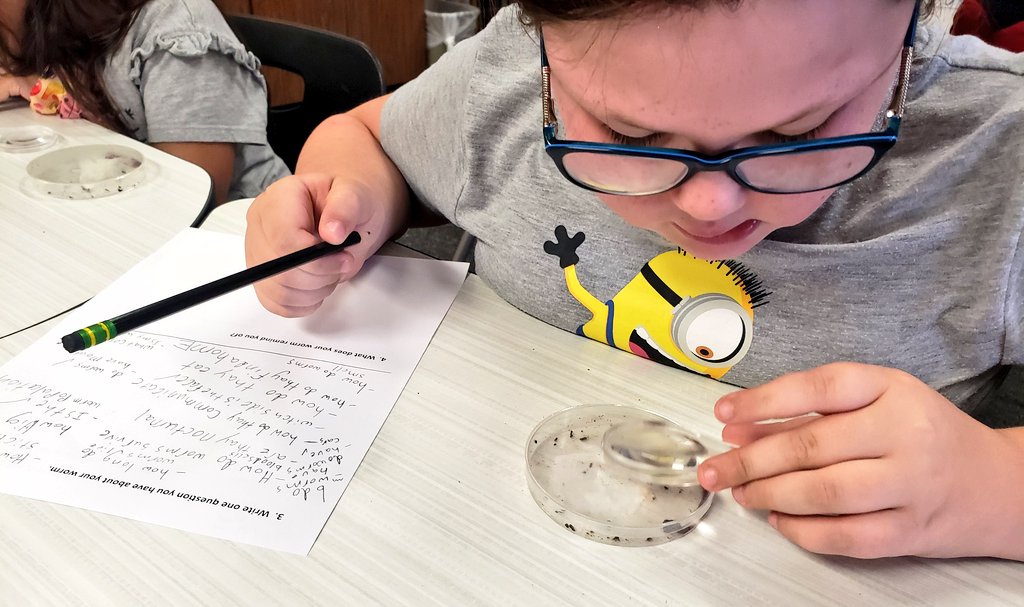 "Ohhhhh my goodness! I was able to answer one of my questions!!! So satisfying!" 😄
- <a href="/JustinJags/">Justin Elementary</a> 3rd grader, while observing a 🪱
Ss sharing questions and celebrating discoveries w/ eachother were sweet moments in today's learning! <a href="/njkrueger/">Nancy Krueger 💙</a> <a href="/ksuarez28/">Princess Science (Kelly Suarez)</a> <a href="/NISDScience/">NISD Science</a>