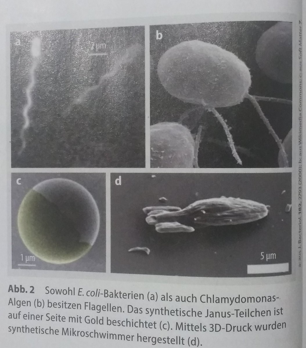 Ein "synthetischer Mikroschwimmer". Soso... #StarTrek #Voyager
