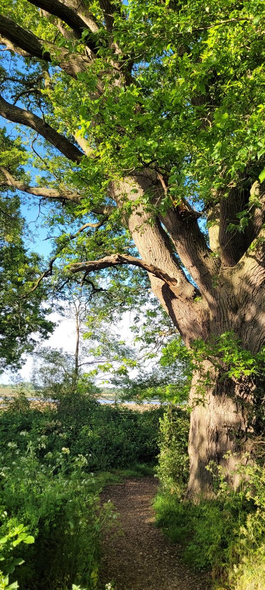 Angela Huckle tweet media