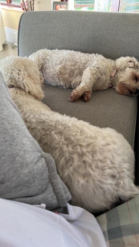 It’s been a hard days night. And I’ve been working like a dog.
#fbawards