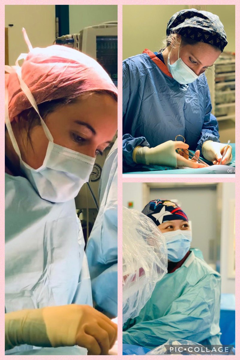 Dr Alex Barnacle tweet media