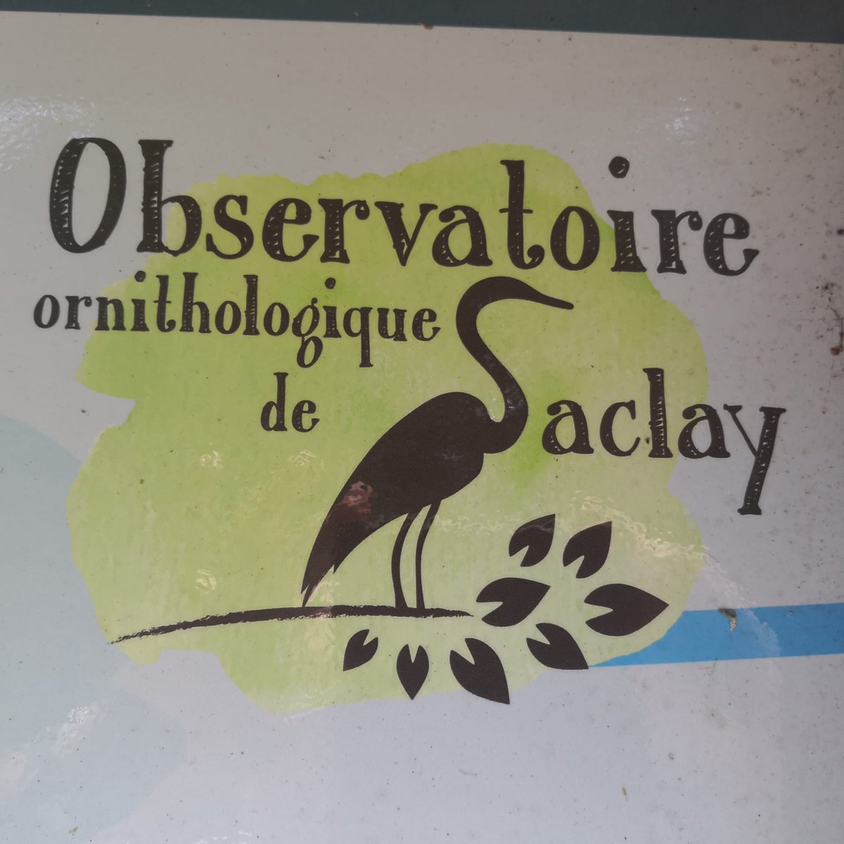 fetedelanature.com du 18 au 22 mai, Visite de l'Observatoire ornithologique des étangs à Saclay. Hérons, grands cormorans et autres espèces révélatrices d'une biodiversité vivace sur notre territoire. Soutenu et financé par <a href="/agglopariSaclay/">Agglomération Paris-Saclay</a> lorsque j'en fus Président.