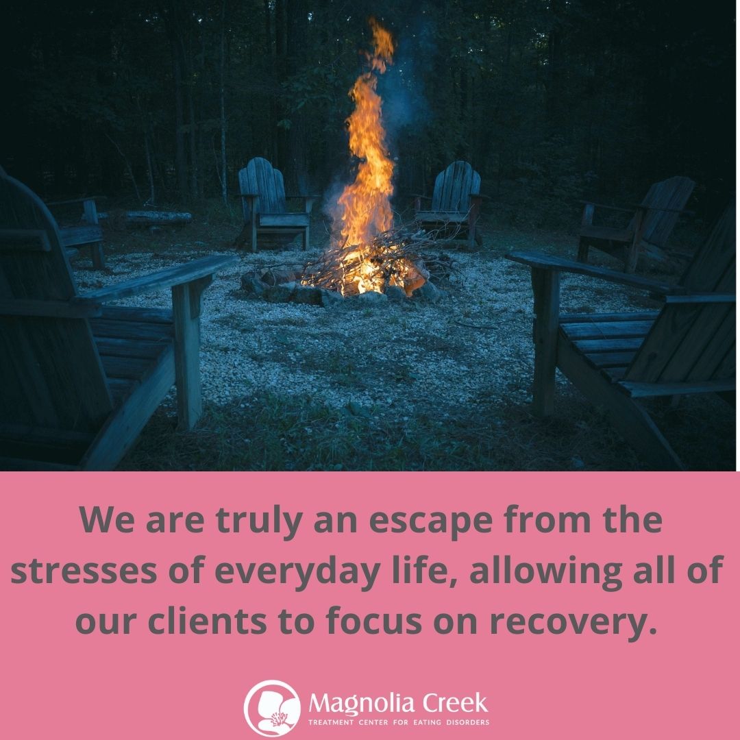 Magnolia Creek (@creekspeak) on Twitter photo 