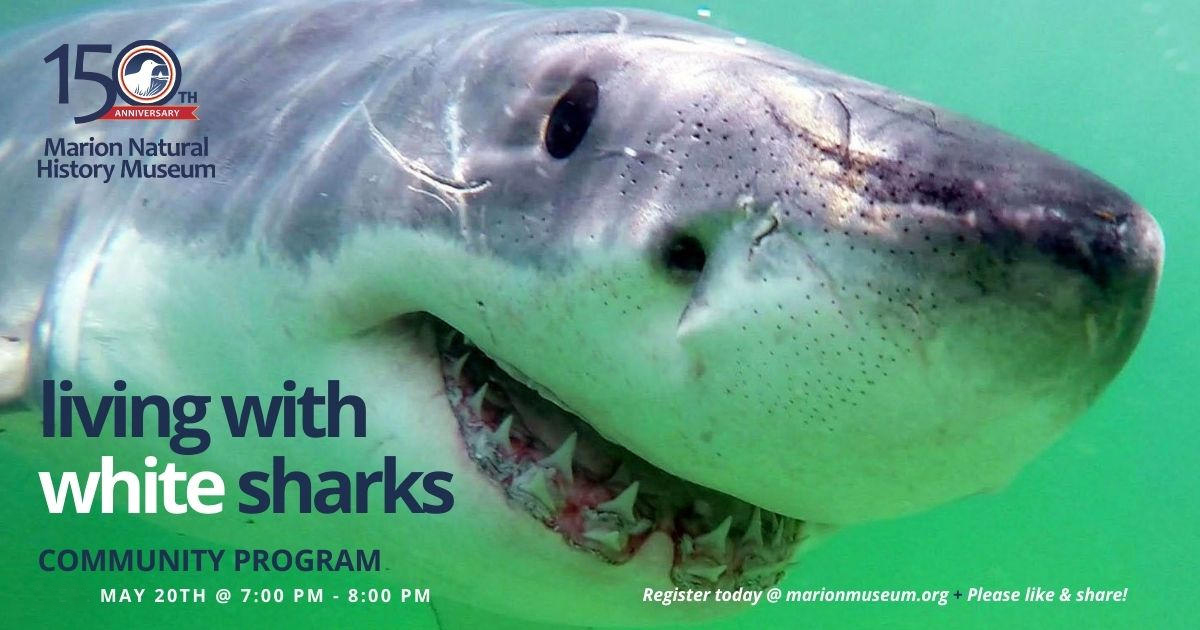 MA_Sharks's tweet photo. If you're looking for a great way to kick off this weekend, checkout @GregSkomal's shark talk tomorrow night in Marion. Learn about white shark science &amp; safety ahead of the upcoming summer season. 

You can get tickets here: https://t.co/Y3LfhpHUiO

Please spread the word. https://t.co/pG9xtwlQiG