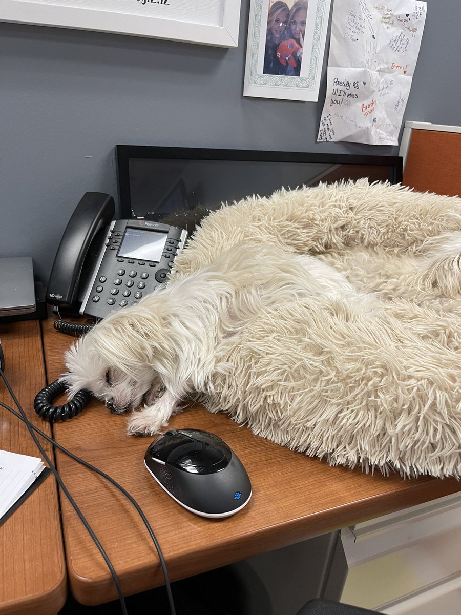 Bring your daughter to work day