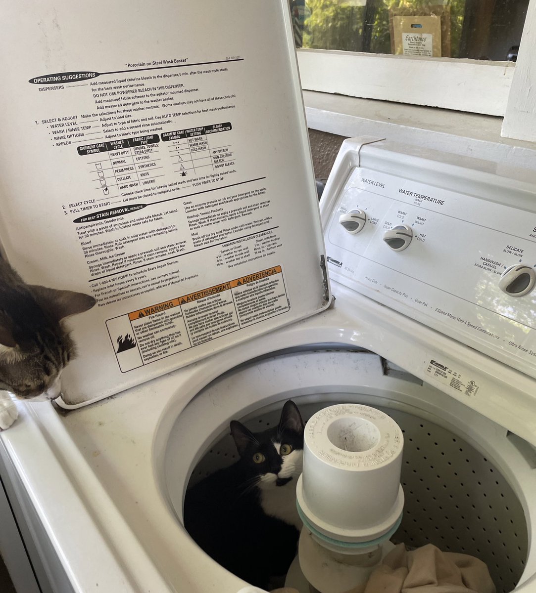 BATH TIME 🛁🧼🫧💦