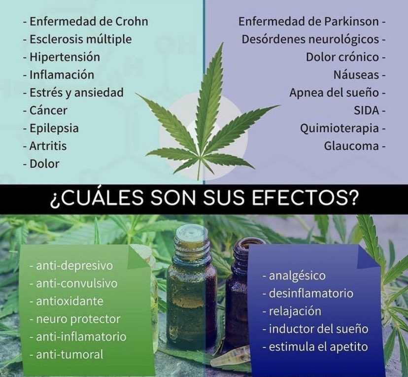 CbdMas's tweet photo. Paton. No prometemos solución, pero si una mejor calidad de vida. 

El #cbd hace cosas increíbles en diferentes patologías. #FuerzaPaton 

No mas #Alzheimer #Vida #CBDesEsperanza https://t.co/YfmKeQPlhz