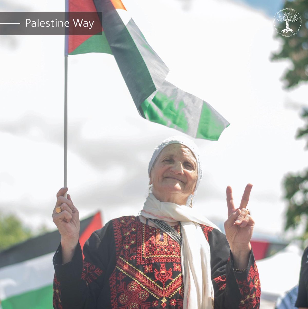 PACCUSA's tweet photo. Check out some more highlights from our #PalestineWay Street Festival 🇵🇸 https://t.co/x65oUo6XSd