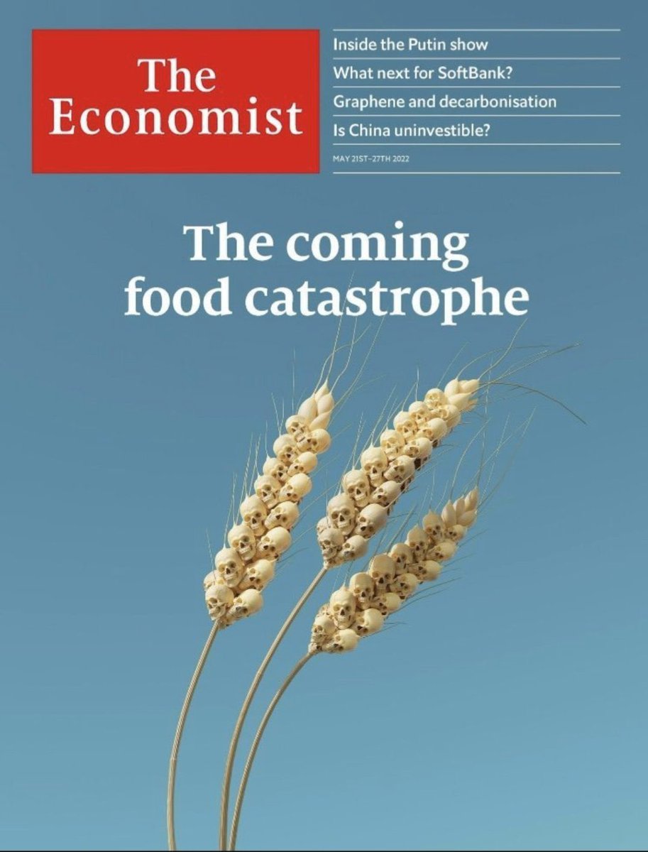 What will be the results of the Russian-Ukrainian War?  Th Economist gave us a spoiler.

"The Coming Food Catastrophe".