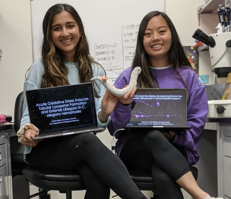 lsuscience's tweet photo. Senior spotlight ✨ Sanaa Alam ✨ She is an @LSU_Honors student and has recently received the following honors:
🏅 @LSUCxC #DistinguishedCommunicator
🌟 Fulbright English Teaching Assistant
💬  U.S. Department of State's Critical Language Scholarship
#GeauxScience #LSU22 https://t.co/3gKSyltbVg