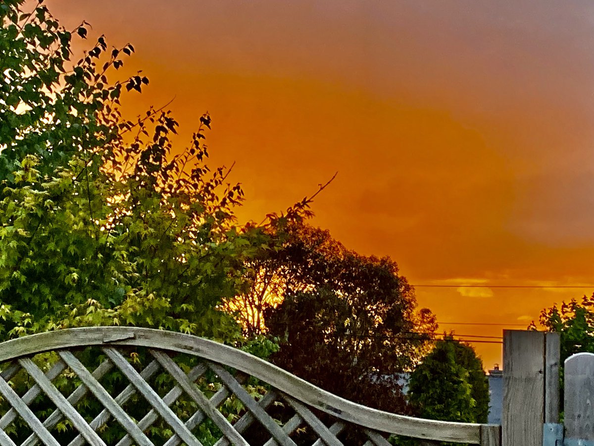 Kevin Foley tweet media