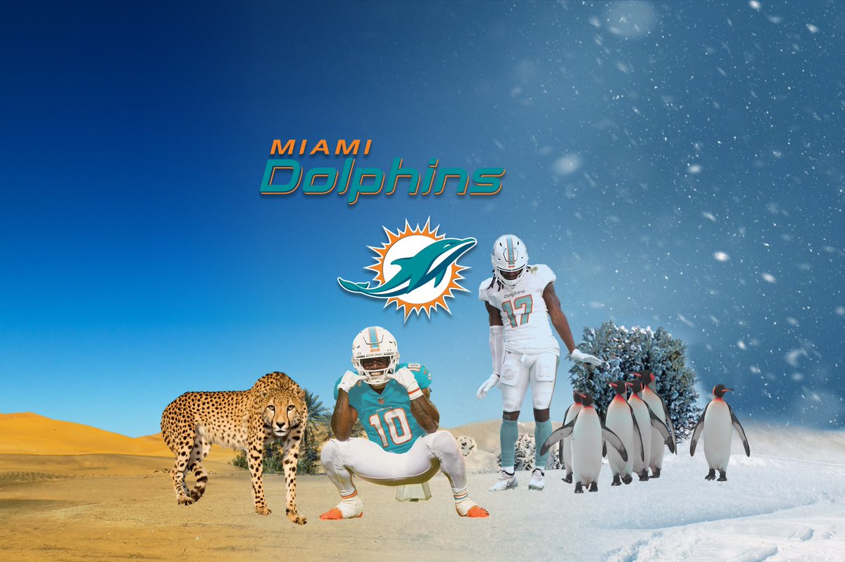 DylanJMore22's tweet image. Ayo Fins Fam give my guy @theycallmebeef some love for these EPIC edits!! #FinsUp #FinsFam 
❌ 
🐆 
🐧 
⛄️