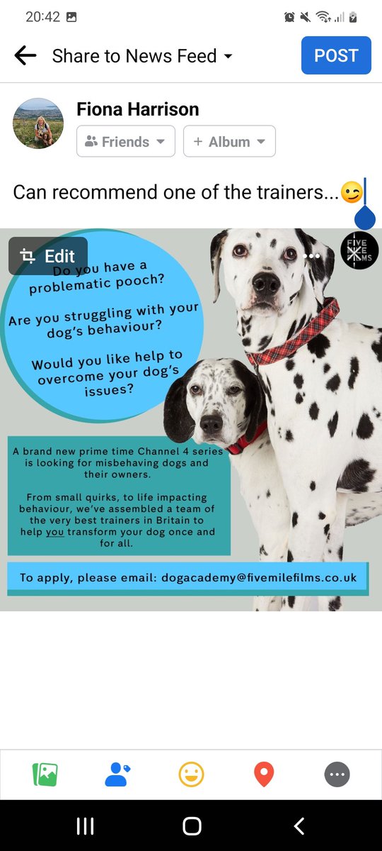 Avon Dog Services tweet media
