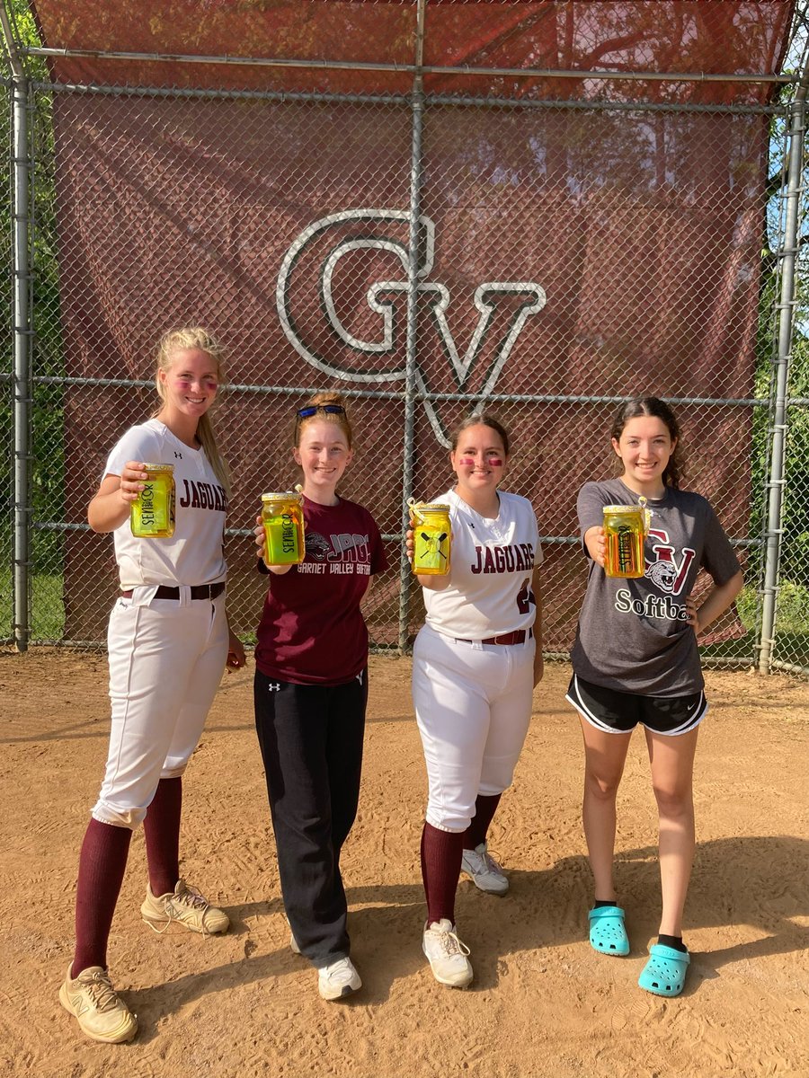 Garnet Valley Softball tweet media