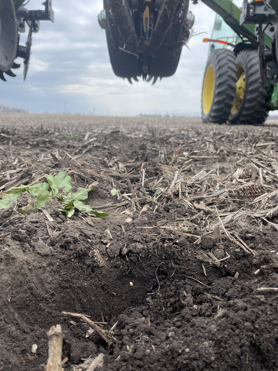 Kyle Edens tweet media