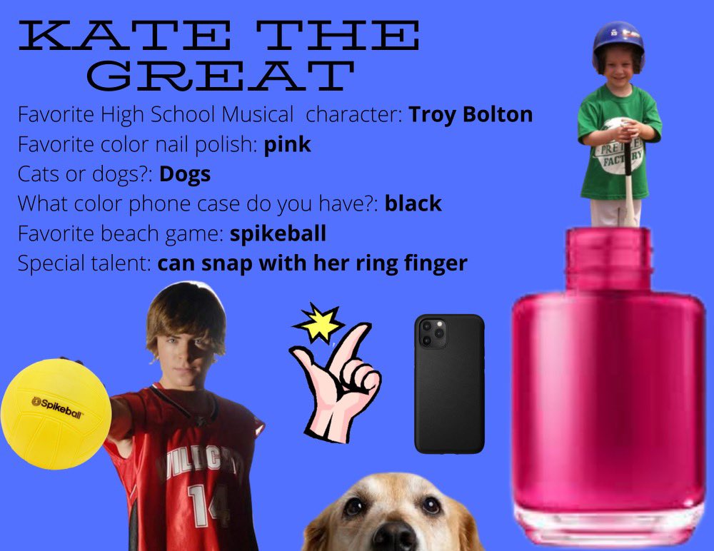 Garnet Valley Softball tweet media