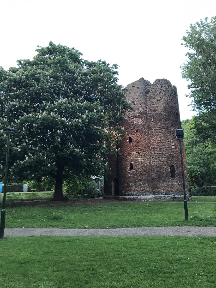 catttwings's tweet photo. Cow Tower: a 14th century brick artillery tower built on the river outside Norwich. The third picture shows a beautifully formed doorway, now floating floorless above the ground. https://t.co/W9BYffsCSE