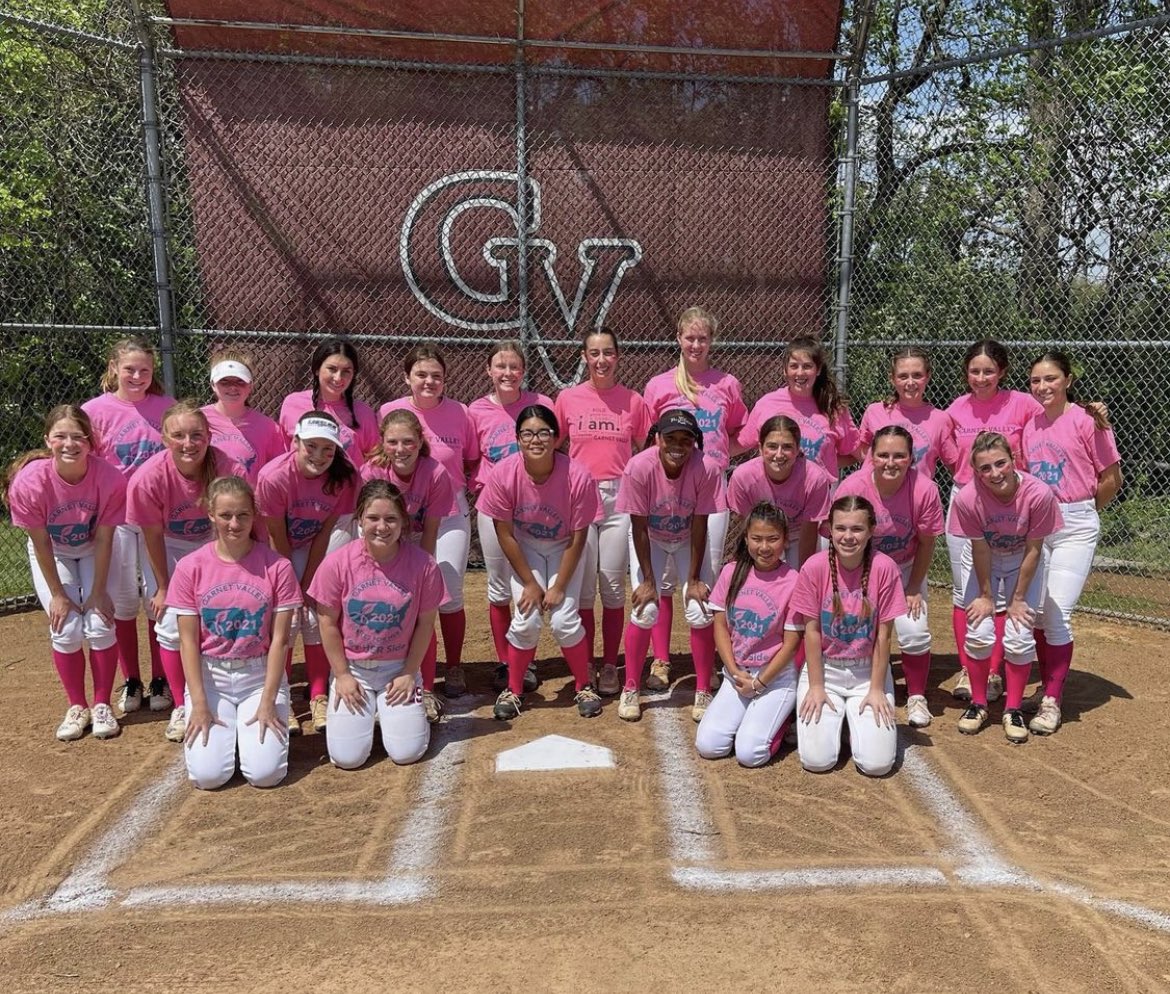 Garnet Valley Softball tweet media
