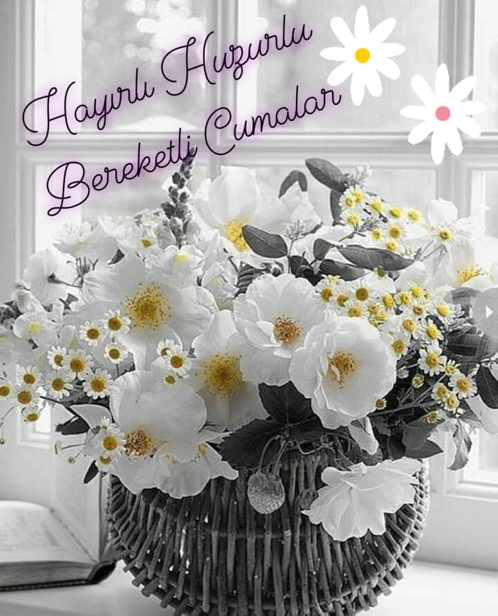 Rabbim bize hayır kapıları aç,sağlık ve iyilikler ver.Selamet kapıları aç şerlerden koru.Şifa kapıları aç sağlık afiyet ver. Mağfiret kapıları aç günahlarımızı bağışla. Doğduğumuz gün emanet ettiğin o tertemiz kalbimizi aynı temizlikle sana teslim etmeyi bizlere nasip eyle...