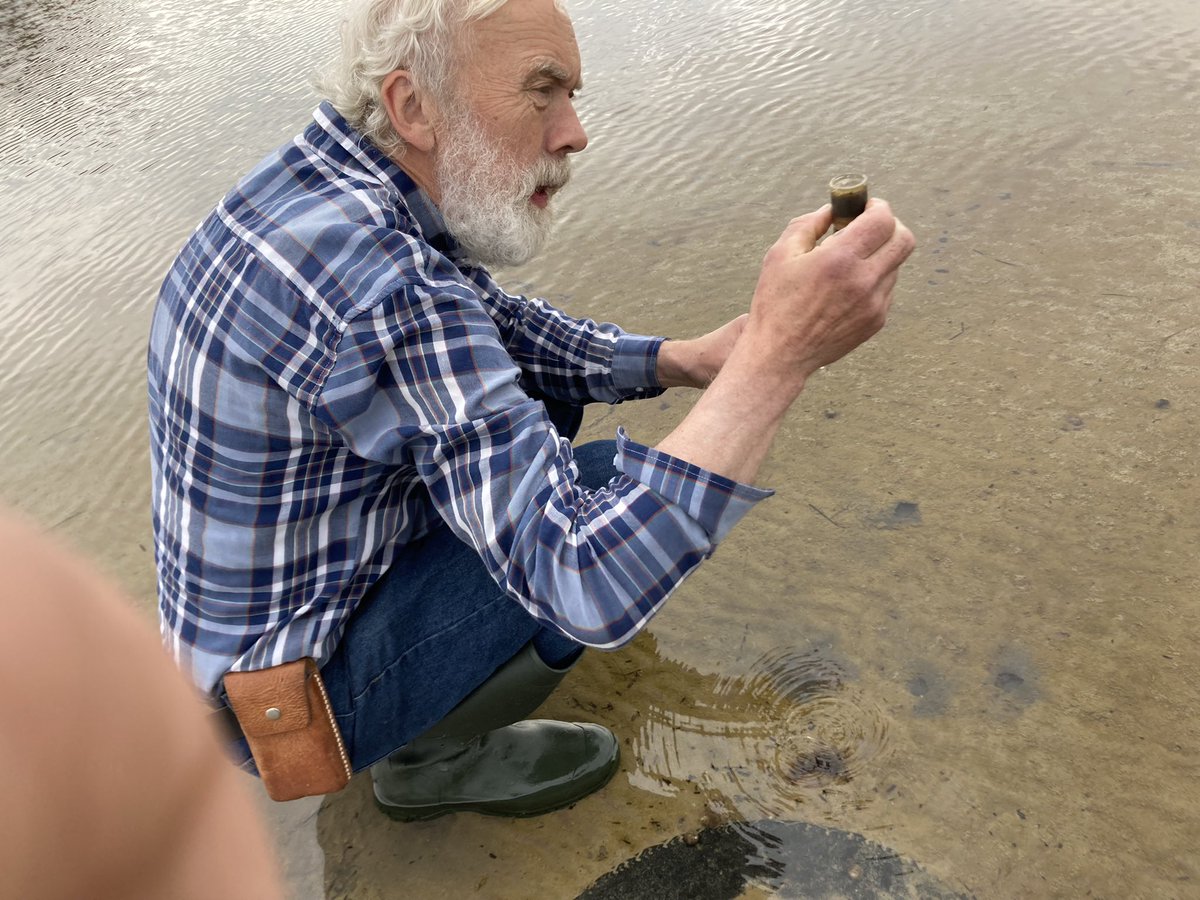 vramya90's tweet image. Hunting for anoxygenic photosynthetic mats with Niels Peter (the expert) and @fa_steininger at the microsensor course #microsensor2022