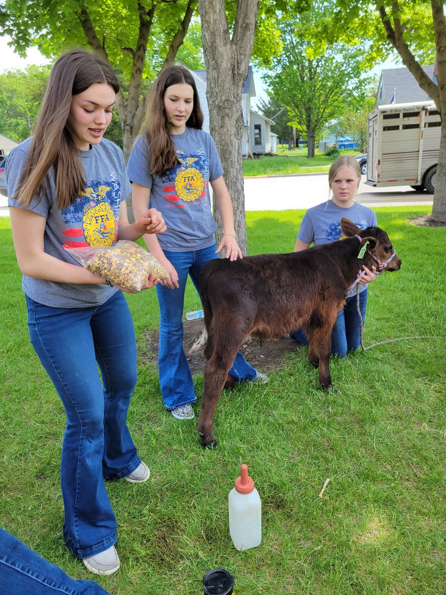 MissGoodwin2G's tweet photo. A huge thanks to the @WashingtonFFA for coming to Stewart Elementary today and sharing your animals with our 1st graders.   We loved it!! #washpride https://t.co/B4KTQWwljh