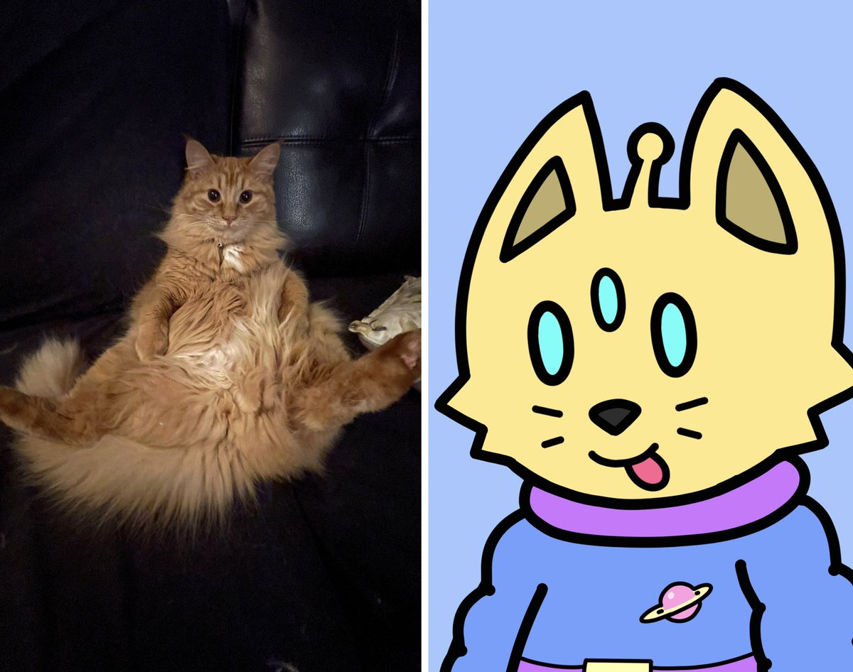 TamGeeFi's tweet image. Hoping on the train. #web2cat vs. #web3cat  #CosmicCatsIRL for #Caturday @CosmicCats_ @Cosmicverse_