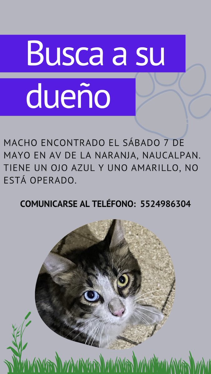 Ile70's tweet photo. @sebuscaCdMx https://t.co/dhm8gIHAgW