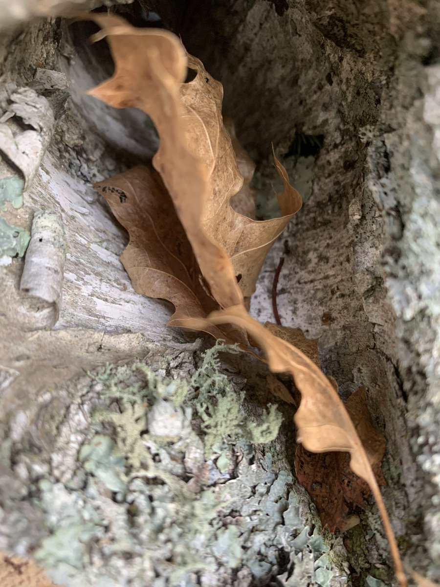 A bit of time alone in nature seems to put all of life’s pressures into perspective. #mindset #hiking