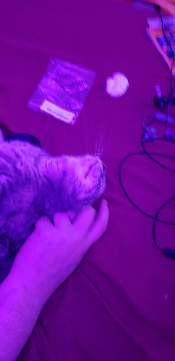 TinyMTG's tweet photo. She's needy tonight https://t.co/ejOnhrcw2u