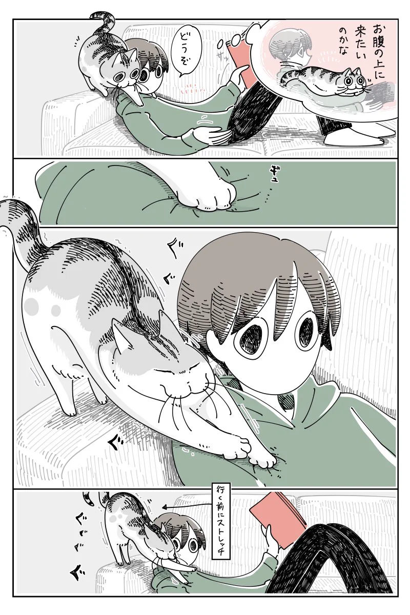 途中で気が変わっちゃうところも可愛い！移動の途中でストレッチをする猫のお話！