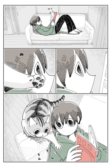ついでにストレッチしていくネコ
https://t.co/bg523vzptp 