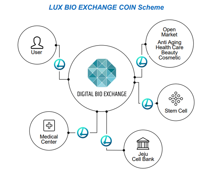 LBXCofficial's tweet photo. There are a number of companies developing services with stem cell technologies, yet it is not intuitively easy to clearly see the details of each nor how they fit each client. In LBXC, we are aiming to build a cooperative ecology with divergence of companies. https://t.co/b0haGnaTKi