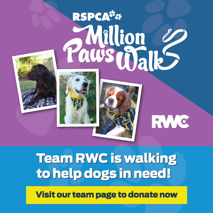 May is Million Paws Walk month. RWC have joined  RSPCA once again to raise awareness and funds to care for abused and abandoned animals. If you feel up to donating, please follow this link: tinyurl.com/rwcau