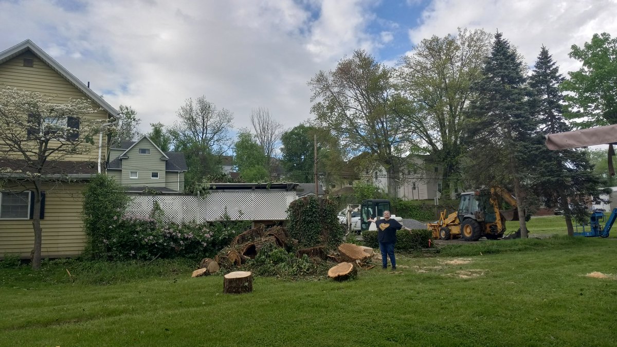 So, that maple is down lol