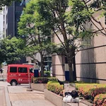 日本橋で見つけた!スーパーチルバイブスなサラリーマンw