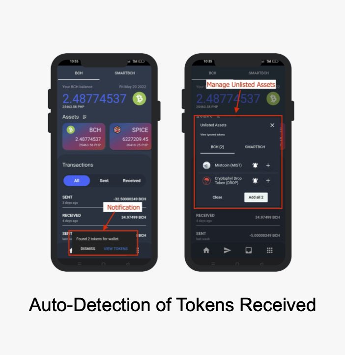 One of the immediate pain points in using the Paytaca wallet is in adding the new tokens. Today we released version v0.7.4 with auto-detection of tokens. No need to manually add token IDs or contract addresses, the wallet instantly knows and informs you if new token is received.