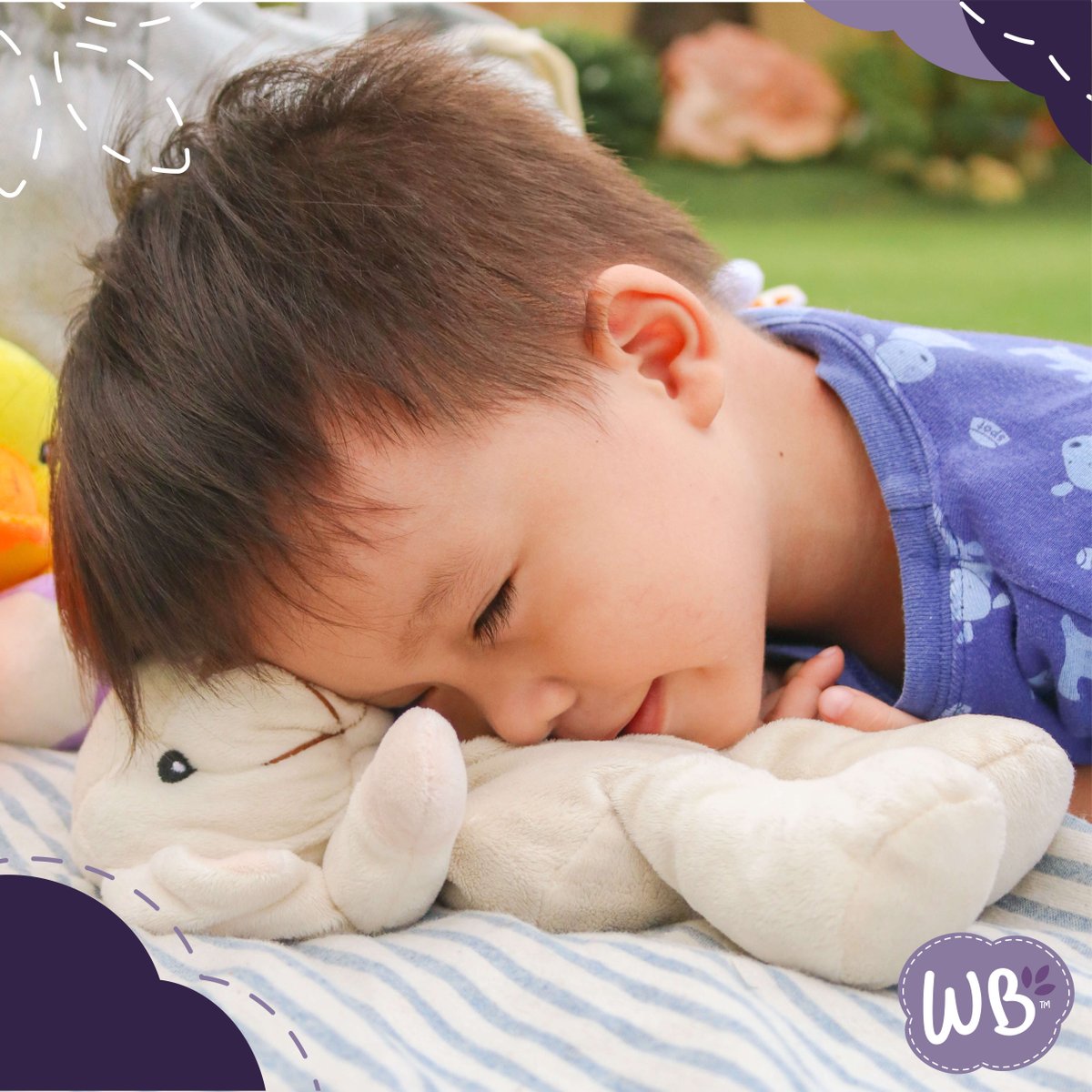 wildbabycom's tweet photo. Experience the soothing scent of lavender! Each Wild Baby Plush Pal comes with a comfort pack filled with mineral clay and dried lavender bits for a relaxing cuddle experience. 💜 https://t.co/s4hazstoqw