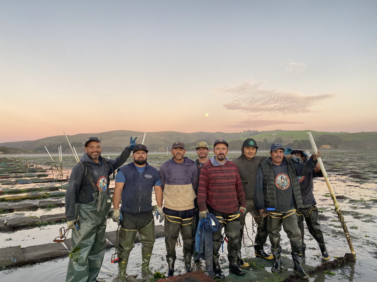 TBOCOysters's tweet photo. 🦪It takes a team to make the dream work!🦪 #oysters #shuck #shellfish #eatmoreshellfish #keeponshucking #Teamwork #crew #hardwork #lovelife https://t.co/mK3b5iWGaN