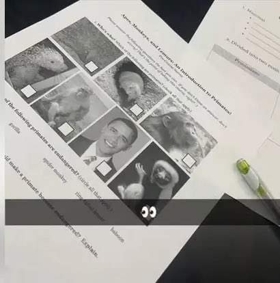 A private school in Birmingham, Michigan handed out a worksheet to students instructing them to to pick from a gallery of photos labeled apes, monkeys, and lemurs

Former President Barack Obama was listed on the sheet 

fox2detroit.com/news/birmingha…