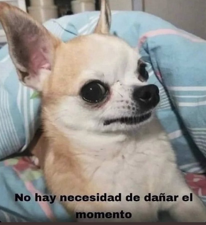 Estaba merendando con el que me gusta. Suena un lentazo. Le digo me encanta! Contesta: Con esa canción entré a mi casamiento.