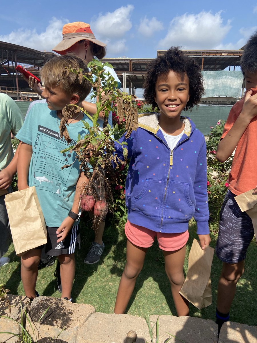 k_singleton123's tweet photo. Our last garden day of the school year was so fun! Our students enjoyed taking home one of their very own carrots! 🥕 @readygrowgarden @CFISDWells3rd @CFISDWells #ExploreWells https://t.co/YUtgZcrHZW