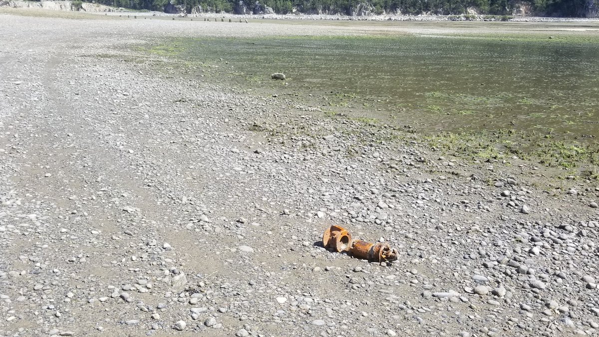 Paul drove us out to Dyea. Lowest tide I've ever seen, we walked almost the length of the old dock and found some fabulous treasures. The tide coming in was one of the creepiest things I've ever seen lol