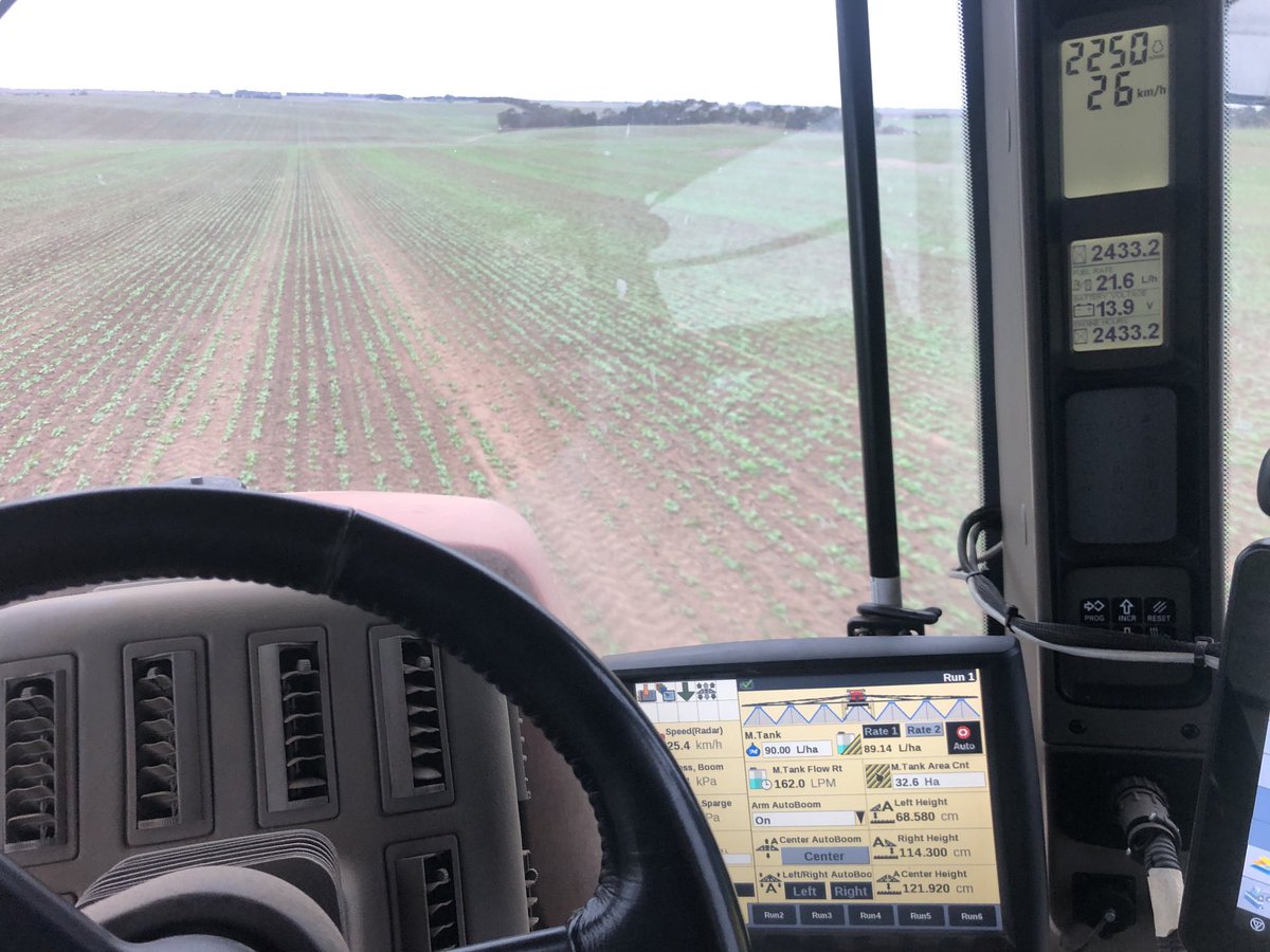 Always a relief to see canola up and going in western Vic