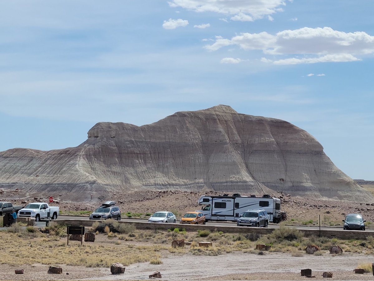 CX_AnthonyW's tweet photo. Some pics from the petrified forest national park https://t.co/qdFuDcqRQ7