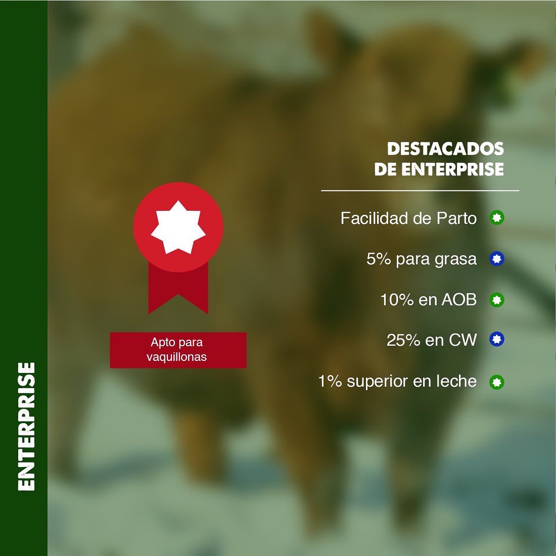 CentroUrugen's tweet photo. Un padre para no dejar pasar, con un perfil de datos excelente. Facilidad de parto directa y maternal en el 15% superior de la raza 🔝
A su vez, con excelentes datos de carcasa, tanto en AOB, Grasa y Peso de Carcasa ⚖️
#Angus #AngusColorado #AngusUruguay #RedAngus https://t.co/gixFKVXJJd